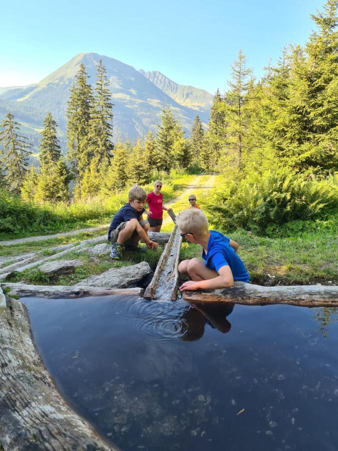 فندق Brixnerhof Im Zillertal سخليترس المظهر الخارجي الصورة