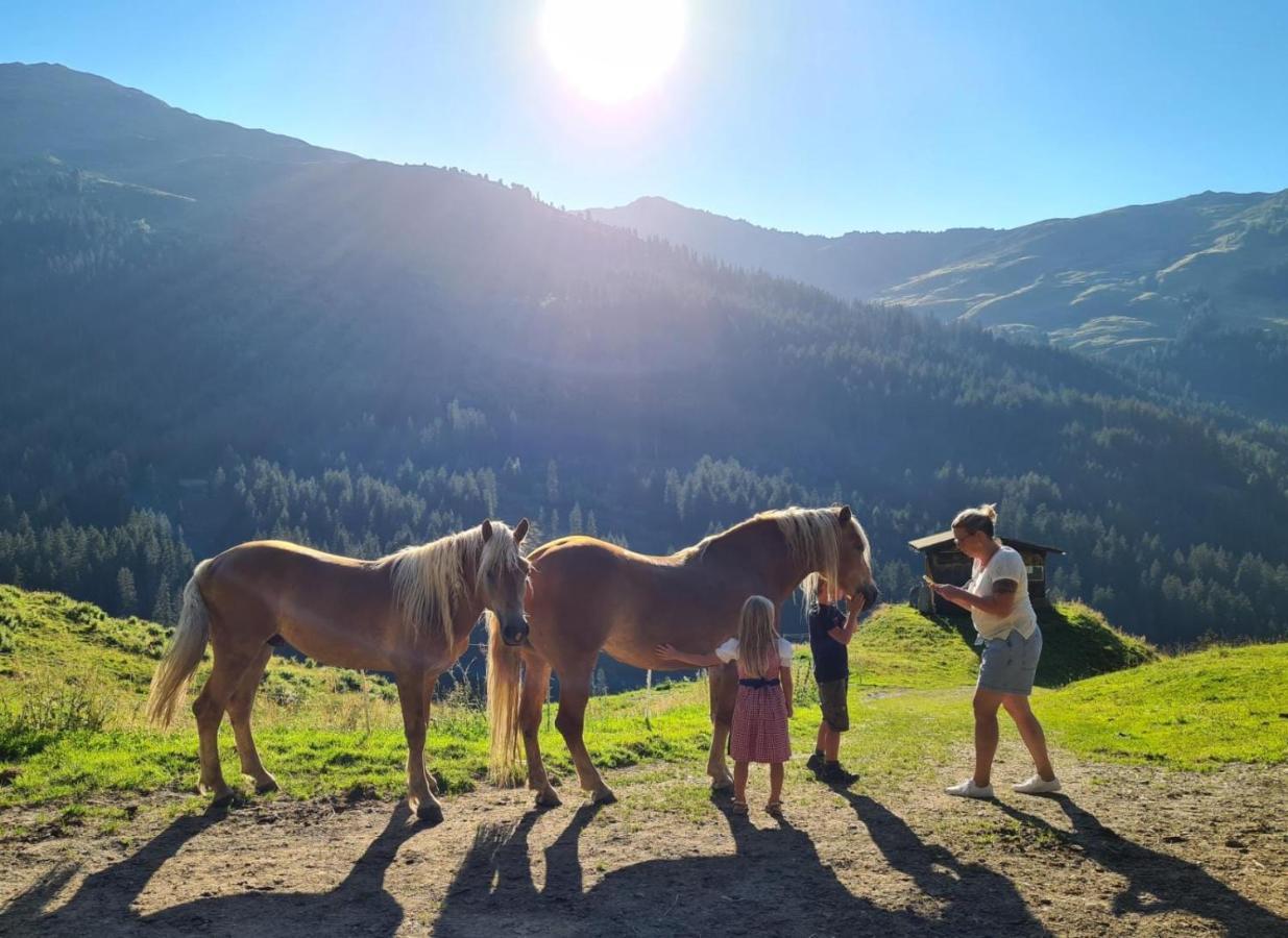 فندق Brixnerhof Im Zillertal سخليترس المظهر الخارجي الصورة