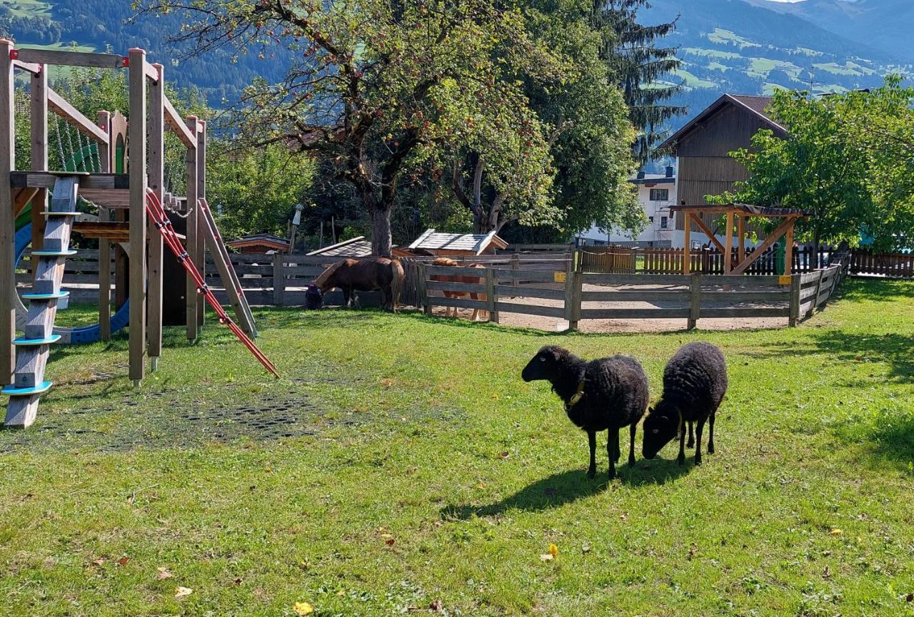 فندق Brixnerhof Im Zillertal سخليترس المظهر الخارجي الصورة