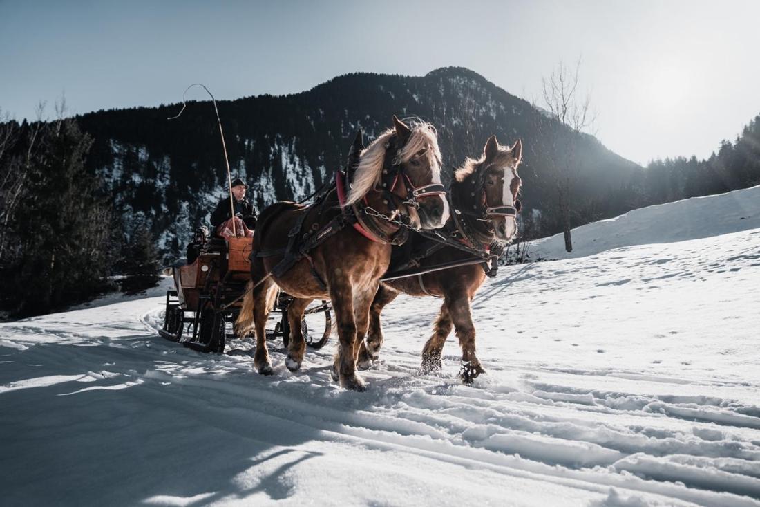 فندق Brixnerhof Im Zillertal سخليترس المظهر الخارجي الصورة